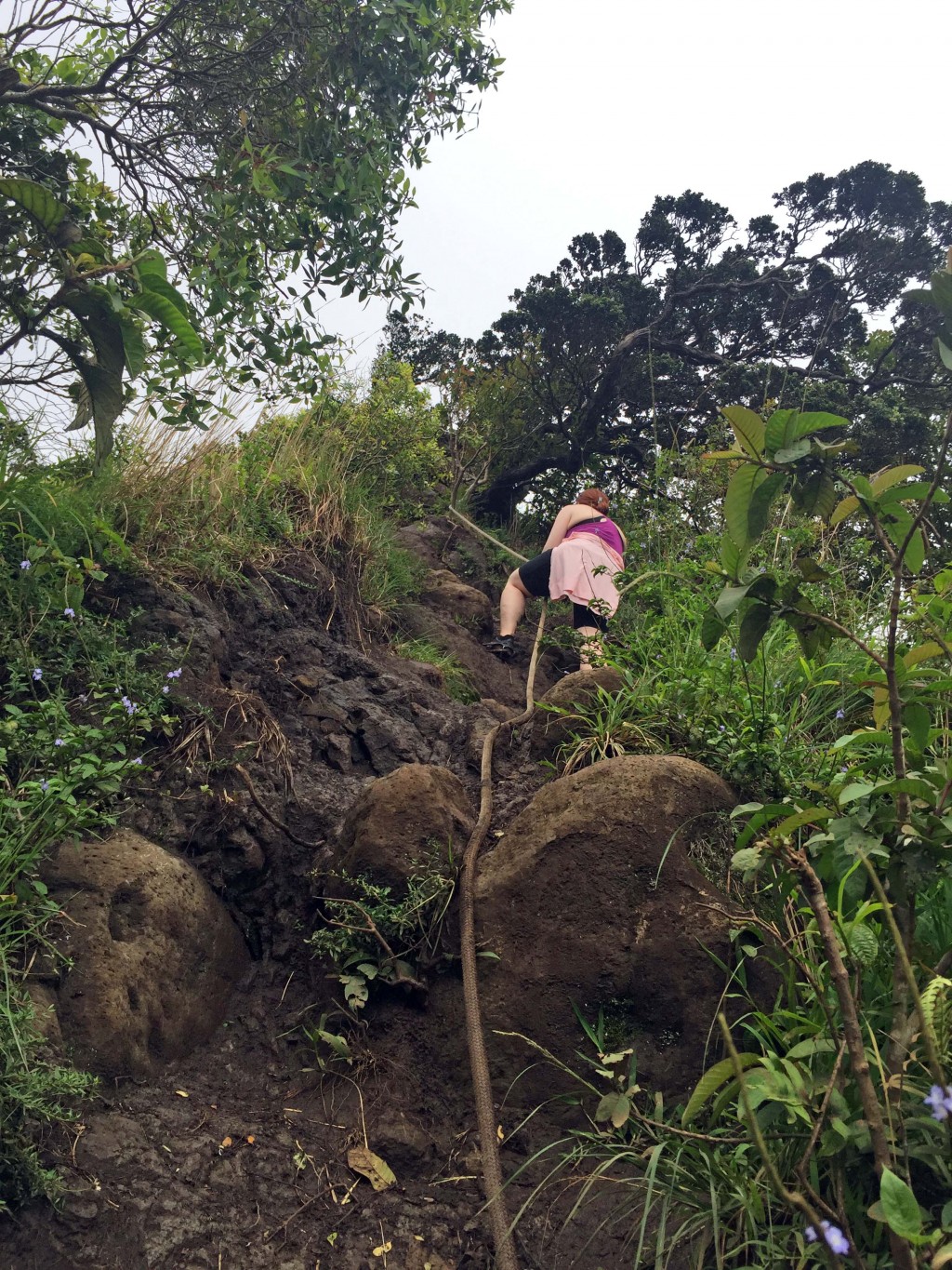 6 - Rope climbs on Moanalua Middle Ridge Trail to Haiku Stairs