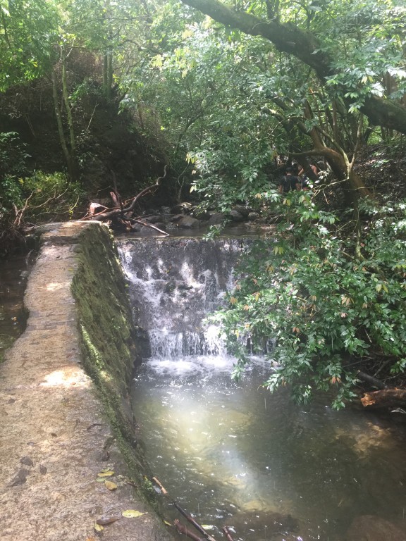 Lulumahu Falls Trail first waterfall:damn