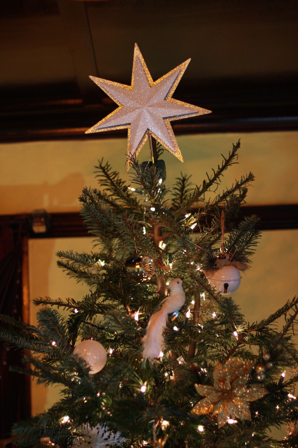 Our 2016 Peacock Themed Christmas Tree